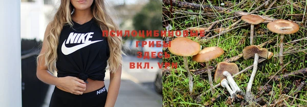 эйфоретик Абаза