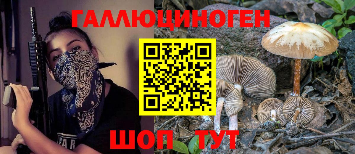 Галлюциногенные грибы прущие грибы  Вход с VPN  Абинск 