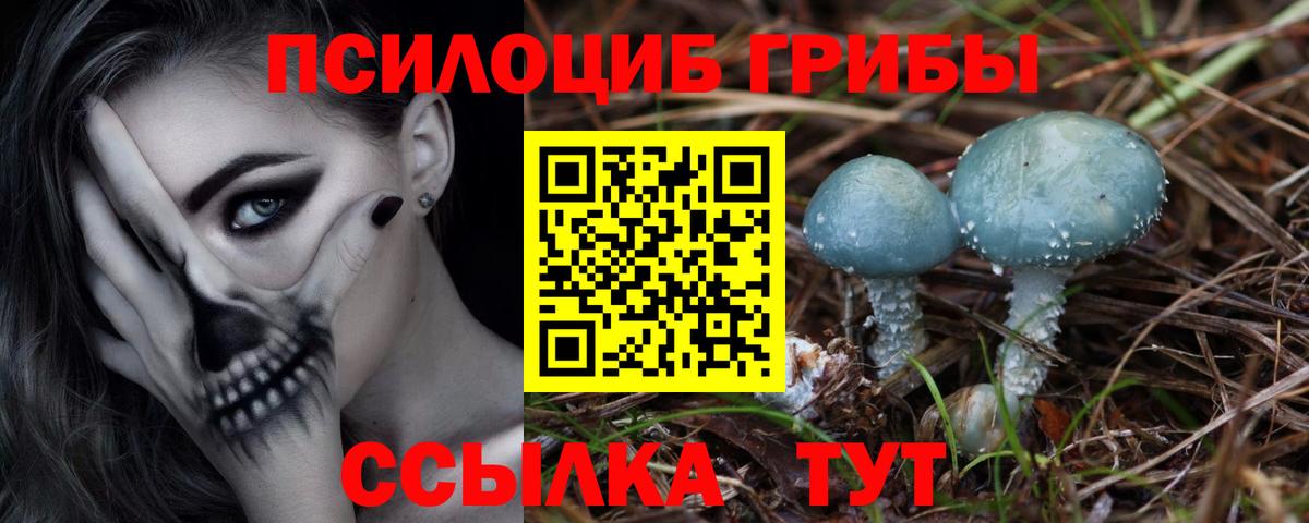 Псилоцибиновые грибы Magic Shrooms Абинск